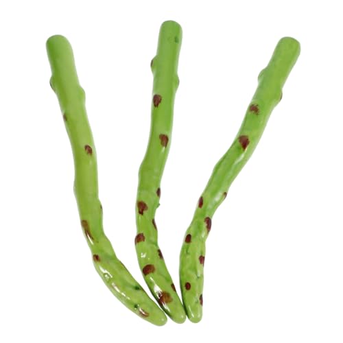 Sosoport Gefälschter Spargel 3 Stück Synthetisches Gemüse Für Zimmer Küche Fotografie Requisiten Halloween-Dekorationen Sosoport Gefälschter Spargel 3 Stück Synthetisches Gemüse Für Zimmer Küche Fotografie Requisiten Halloween-Dekorationen von Sosoport