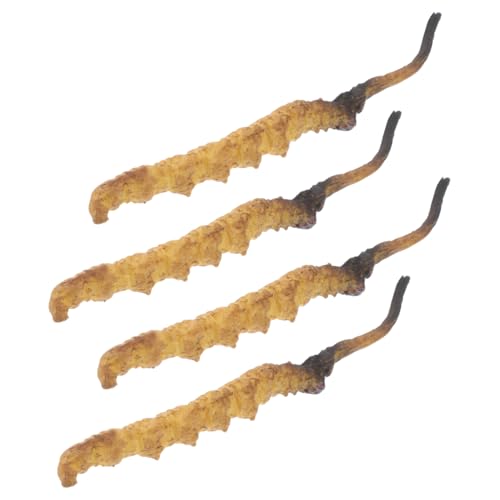 Sosoport 4 Stück Cordyceps -Modell Arztkoffer Arztzubehör medizinische Spielzeugartikel Arzt Rollenspiel Requisiten Modell der chinesischen Medizin Plastik von Sosoport