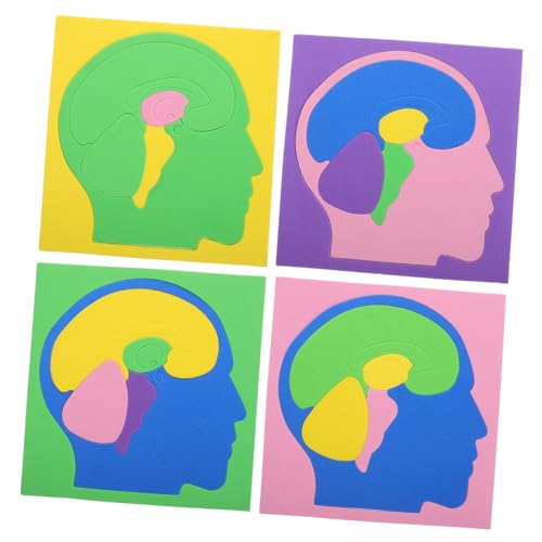 Sosoport 4 Stück Gehirn-anatomie-Puzzle Für Kinder, Montessori-pädagogisches Spielzeug, Menschliches Gehirn-Modell Für Lernen Im Klassenzimmer Und Stammzellen-aktivitäten von Sosoport