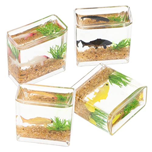 Sosoport 4 Stück Quadratfischtankmodell Miniatur-Fischteich Mini-Puppenhauszubehör Miniatur-Aquarium-Handwerk Büro-Schreibtisch-Aquarium Miniaturhausdekorationen Plastik Zufällige Farbe Sosoport 4 Stück Quadratfischtankmodell Miniatur-Fischteich Mini-Puppenhauszubehör Miniatur-Aquarium-Handwerk Büro-Schreibtisch-Aquarium Miniaturhausdekorationen Plastik Zufällige Farbe von Sosoport