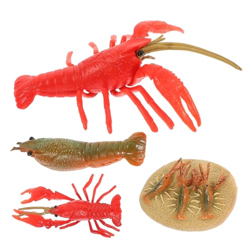 Sosoport 4Stücke Hummer Modelle Lebenszyklus Tiere Puzzle Kunststoff Hummer Wachstumszyklus Figuren Für Pädagogisches Für Jungen von Sosoport