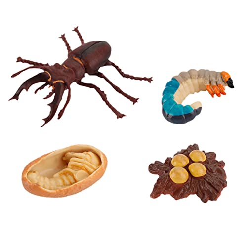 Sosoport 4Stücke Insektenwachstumsmodelle Pädagogische Spielzeugmodelle Für Simulation Von Insekten Für Lernzwecke Insekten Display Modell Bildungsbedarf Sosoport 4Stücke Insektenwachstumsmodelle Pädagogische Spielzeugmodelle Für Simulation Von Insekten Für Lernzwecke Insekten Display Modell Bildungsbedarf von Sosoport