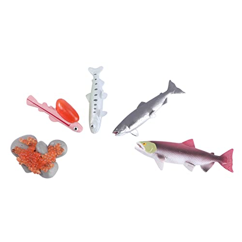 Sosoport 4Stücke Teilige Lachsfigur Modellset für Lebendige Aquatische Kreaturen Kognitiven Entwicklung für Geburtstagsgeschenke und Lernspiele Sosoport 4Stücke Teilige Lachsfigur Modellset für Lebendige Aquatische Kreaturen Kognitiven Entwicklung für Geburtstagsgeschenke und Lernspiele von Sosoport
