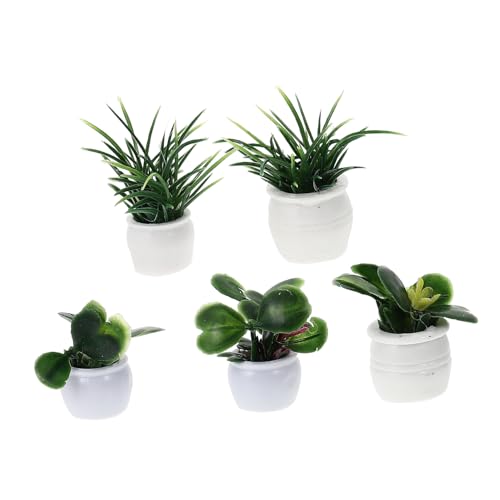 Sosoport 5 Stück Mini Pflanzenmodell Miniatur Mini Topfpflanze Blumenmodell Blumendekorationen Mini Feenfiguren Puppenhäuser Puppenhaus Kleine Künstliche Pflanzen von Sosoport