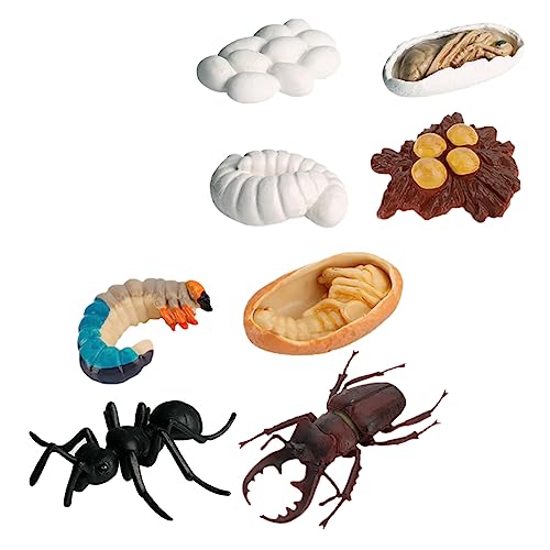 Sosoport 8Stücke Insektenwachstum Modell Simulation des Arbeiterameisenwachstumszyklus Pädagogisches für Sicheres Material für Lange Haltbarkeit Lernspielzeug Sosoport 8Stücke Insektenwachstum Modell Simulation des Arbeiterameisenwachstumszyklus Pädagogisches für Sicheres Material für Lange Haltbarkeit Lernspielzeug von Sosoport