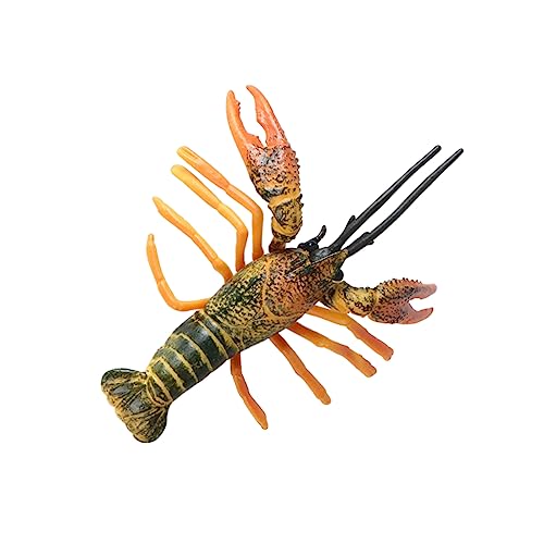 Sosoport Dekorativer Hummer Modell Realistisches Hummer für Kognitives Lernspielzeug für Dekoration Büro und Zuhause Perfektes Craft Accessoire von Sosoport