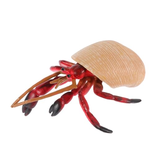 Sosoport Dekoratives Modell Für Realistisches Und Ornament Für Kreative Und Hermit Crab Design Sosoport Dekoratives Modell Für Realistisches Und Ornament Für Kreative Und Hermit Crab Design von Sosoport