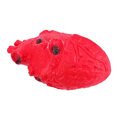 Sosoport Falsches Herz Halloween Horror Halloween grusel Fake Blood Halloween-Horror Halloween-Hausdekoration Szene drinnen Gothic Halloween-Herz Innen Halloween Decor Emulsion rot von Sosoport