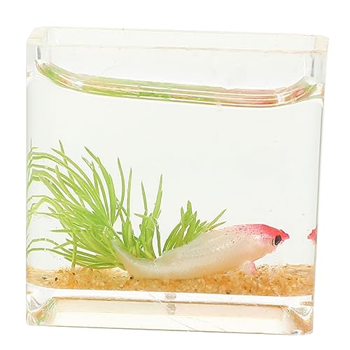 Sosoport Fischschale Für Puppenhaus Aquarium Modell Dekoratives Behälter Ornament Miniaturzubehör Für Kleine Spielzeuge Sosoport Fischschale Für Puppenhaus Aquarium Modell Dekoratives Behälter Ornament Miniaturzubehör Für Kleine Spielzeuge von Sosoport