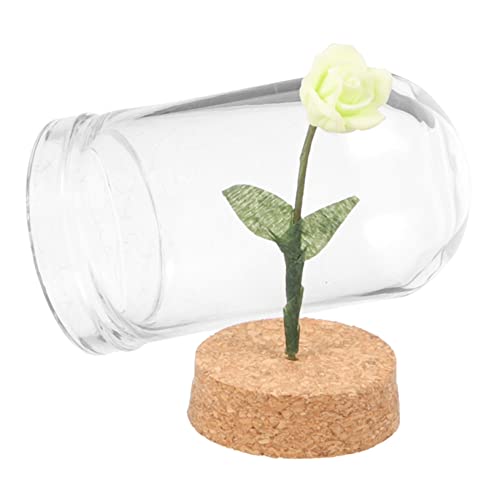 Sosoport Konservierte Blumen Gartendekoration Mini Blume In Kuppel Miniatur Blume In Glaskuppel Miniatur Kuppel Mini Hausbedarf Kleine Dinge Kleines Mini Rose In Glaskuppel Harz Sosoport Konservierte Blumen Gartendekoration Mini Blume In Kuppel Miniatur Blume In Glaskuppel Miniatur Kuppel Mini Hausbedarf Kleine Dinge Kleines Mini Rose In Glaskuppel Harz von Sosoport