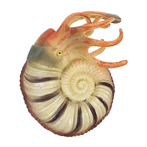 Sosoport Künstliches Nautilus Modell aus Detailreiches Meereslebewesen für Aquarien und Dekoration Simuliertes Meeresmodell Lernspielzeug Sosoport Künstliches Nautilus Modell aus Detailreiches Meereslebewesen für Aquarien und Dekoration Simuliertes Meeresmodell Lernspielzeug von Sosoport