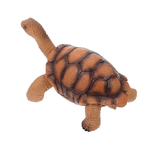 Sosoport Kunststoff Schildkröten Modellspielzeug Realistische Schildkröte Figur für Pädagogisches Tiermodell Kreativität und Farbkenntnis Strandspielzeug Sosoport Kunststoff Schildkröten Modellspielzeug Realistische Schildkröte Figur für Pädagogisches Tiermodell Kreativität und Farbkenntnis Strandspielzeug von Sosoport