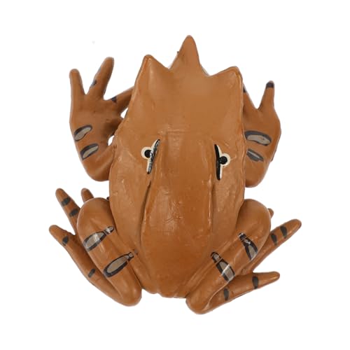 Sosoport Lifelike Frosch Figurine Realistisches Kunststoff Frosch Modell für Lernspielzeug zur Kognitiven Entwicklung für Garten und Wohnungsdekoration Sosoport Lifelike Frosch Figurine Realistisches Kunststoff Frosch Modell für Lernspielzeug zur Kognitiven Entwicklung für Garten und Wohnungsdekoration von Sosoport