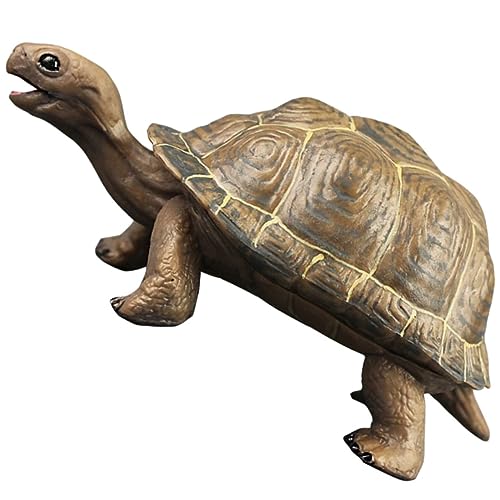 Sosoport Lifelike Plastikschildkröte Figur Realistische Schildkröte für Lernspielzeug und Dekoration aus Hochwertigem Partys und von Sosoport