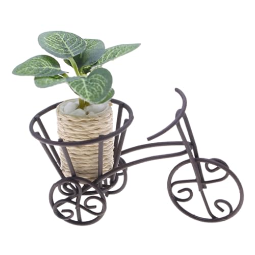 Sosoport Miniatur Fahrrad Pflanzgefäß Aus Metall Dreirad Blumenständer Blumenständer Wagen Für Heimdekoration Terrasse Garten Blumenladen Drinnen Und Draußen von Sosoport