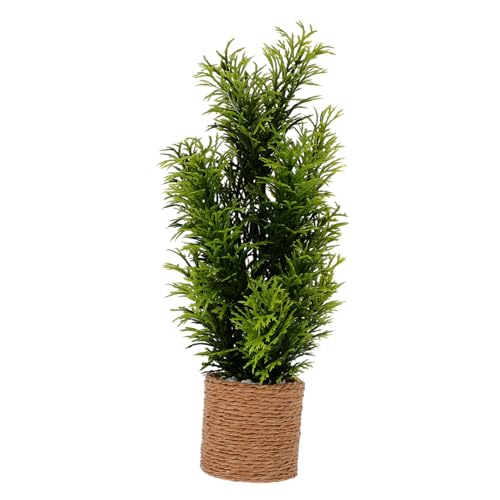 Sosoport Miniatur-Topfgrünpflanzen Miniatur-Topfpflanzen winzig Miniaturen Schmuck Puppenhaus Miniatur-Bonsai schmücken Miniaturpflanzen Mini-Topfpflanzen Mini Bonsai Plastik Coffee von Sosoport
