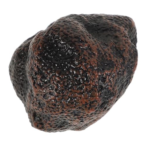 Sosoport Modell Mit Schwarzem Trüffel Küchenspielzeug Vortäuschen Mini-simulationsspielzeug Für Die Küche Kinderzubehör Simulationshausspielzeug Kinderküchenzubehör Plastik Black Sosoport Modell Mit Schwarzem Trüffel Küchenspielzeug Vortäuschen Mini-simulationsspielzeug Für Die Küche Kinderzubehör Simulationshausspielzeug Kinderküchenzubehör Plastik Black von Sosoport
