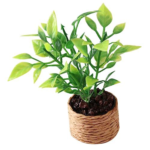 Sosoport Orangenbaummodell Kind Winzig Topfpflanzen-Modell Künstliche Bonsai-Dekoration Miniatur-topfblumenmodell Mini-miniaturmodell Miniatur Blumentopfmodell Plastik Sosoport Orangenbaummodell Kind Winzig Topfpflanzen-Modell Künstliche Bonsai-Dekoration Miniatur-topfblumenmodell Mini-miniaturmodell Miniatur Blumentopfmodell Plastik von Sosoport