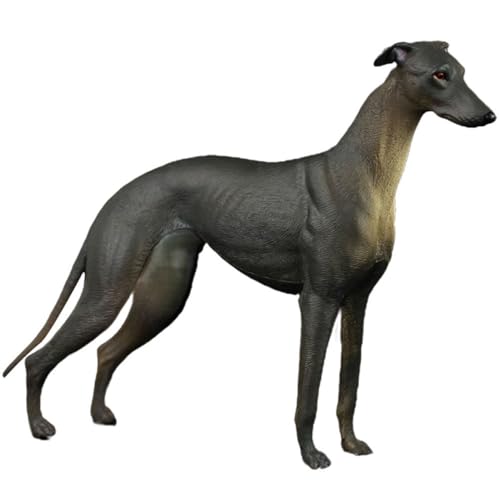 Sosoport Plastikhund Statue Simuliertes Hundemodell aus Hochwertigem Kunststoff Dekoration für Büro Haus und Realistische Hundeskulptur für Fotorequisiten Sosoport Plastikhund Statue Simuliertes Hundemodell aus Hochwertigem Kunststoff Dekoration für Büro Haus und Realistische Hundeskulptur für Fotorequisiten von Sosoport