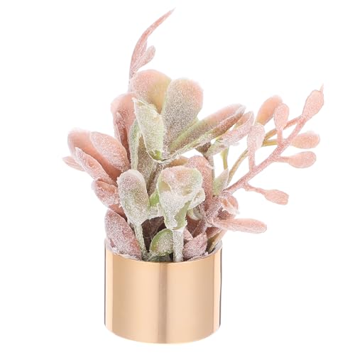 Sosoport Puppenhaus Blumentopf Kunstpflanze Pflanzen Deko Eingetopfte Sukkulenten Künstliche Sukkulenten Masse Miniatur Bonsai Künstliche Mini-sukkulenten Mini-topfpflanze Coffee Plastik Sosoport Puppenhaus Blumentopf Kunstpflanze Pflanzen Deko Eingetopfte Sukkulenten Künstliche Sukkulenten Masse Miniatur Bonsai Künstliche Mini-sukkulenten Mini-topfpflanze Coffee Plastik von Sosoport