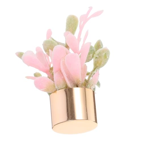 Sosoport Puppenhaus Blumentopf Sukkulenten Pflanzgefäße Dekoration Kleine Künstliche Pflanzen Ornamente Für Sukkulenten Töpfe Für Zimmerpflanzen Topfpflanzen Künstliche Pflanzen Sosoport Puppenhaus Blumentopf Sukkulenten Pflanzgefäße Dekoration Kleine Künstliche Pflanzen Ornamente Für Sukkulenten Töpfe Für Zimmerpflanzen Topfpflanzen Künstliche Pflanzen von Sosoport