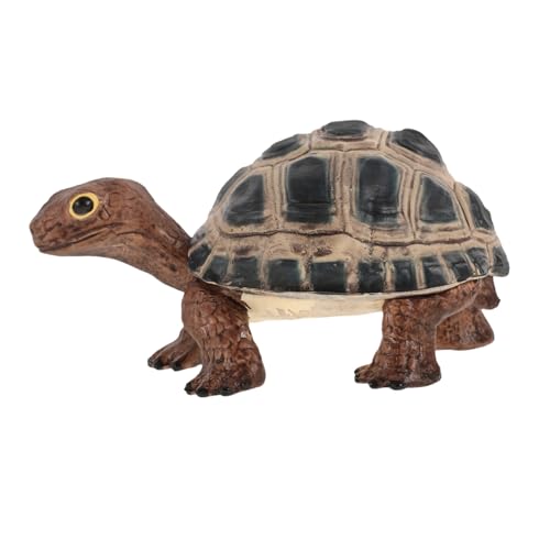 Sosoport Realistisches Schildkrötenmodell Künstliche Schildkrötenfigur aus Pädagogisches für Dekorative Meerestier Skulptur für Klassenzimmer und Heimdekoration Sosoport Realistisches Schildkrötenmodell Künstliche Schildkrötenfigur aus Pädagogisches für Dekorative Meerestier Skulptur für Klassenzimmer und Heimdekoration von Sosoport