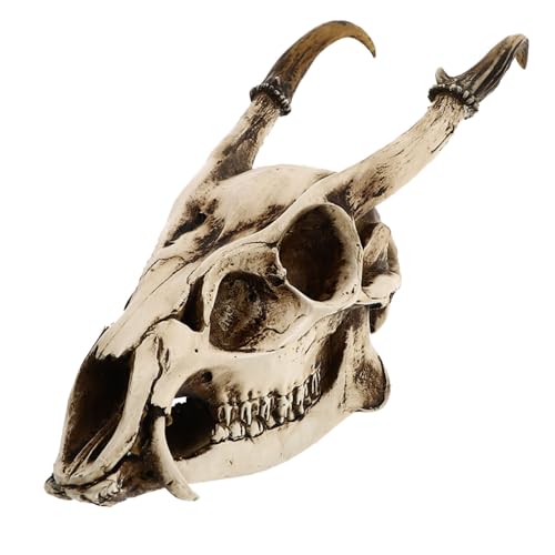 Sosoport Realistisches Ziegenschädel aus Langlebigem Resin Kreatives Aquarium Ornament Stilvolle Tischdekoration Einfach zu Reinigen Modisches Vintage Design für Haus und Garten von Sosoport