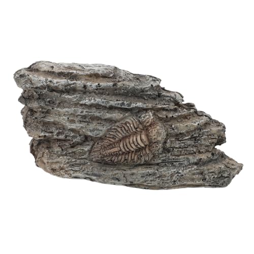 Sosoport Resin Trilobiten Ornament Pädagogisches Trilobiten für Sammler und Dekoration Dekoratives Naturkunde Lehrmaterial Kompakt und Tragbar für Zuhause und Sosoport Resin Trilobiten Ornament Pädagogisches Trilobiten für Sammler und Dekoration Dekoratives Naturkunde Lehrmaterial Kompakt und Tragbar für Zuhause und von Sosoport