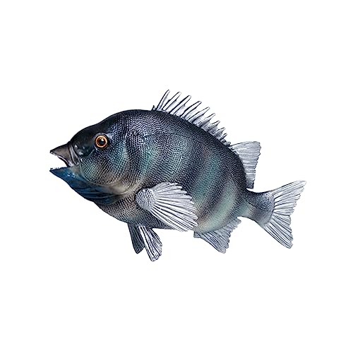 Sosoport Simulation Fischmodell aus Kunststoff Realistisches Tiermodell für Lernspiele und Dekoration im Aquarium oder Sosoport Simulation Fischmodell aus Kunststoff Realistisches Tiermodell für Lernspiele und Dekoration im Aquarium oder von Sosoport