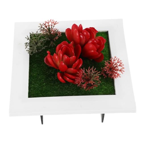 Sosoport Simulierter Pflanzenfotorahmen Künstliche Blume Gerahmte Wanddekoration Pflanzenwandrahmen Pictal Frames Pflanzenhalter Künstliche Saftige Wanddekoration Plastik Rot Sosoport Simulierter Pflanzenfotorahmen Künstliche Blume Gerahmte Wanddekoration Pflanzenwandrahmen Pictal Frames Pflanzenhalter Künstliche Saftige Wanddekoration Plastik Rot von Sosoport