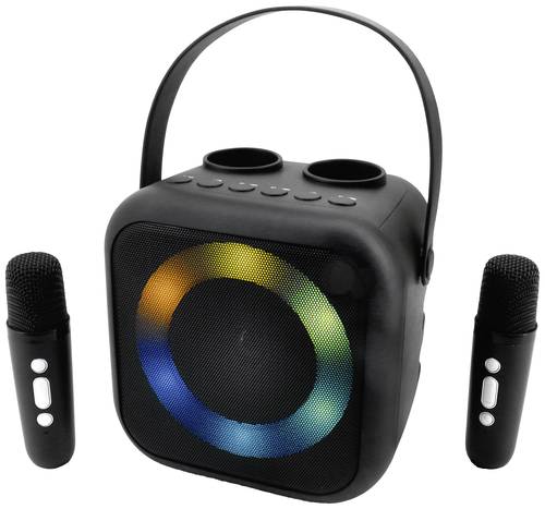 Soundmaster BT2024SW Karaoke-Anlage Inkl. Mikrofon, wiederaufladbar Schwarz von Soundmaster