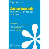 Americanah Sparknotes Literature Guide von Spark