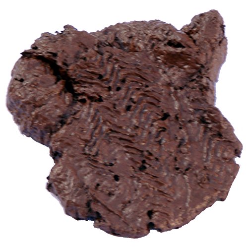 Kacke mit Schuhabdruck Scheisshaufen ekliger Scherzartikel Hundehaufen Kacke mit Schuhabdruck Scheisshaufen ekliger Scherzartikel Hundehaufen von Spassprofi