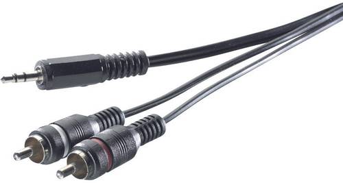 SpeaKa Professional SP-1300904 Cinch / Klinke Audio Anschlusskabel [2x Cinch-Stecker - 1x Klinkenste von SpeaKa Professional
