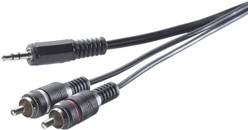 SpeaKa Professional SP-7870368 Cinch / Klinke Audio Anschlusskabel [2x Cinch-Stecker - 1x Klinkenste von SpeaKa Professional