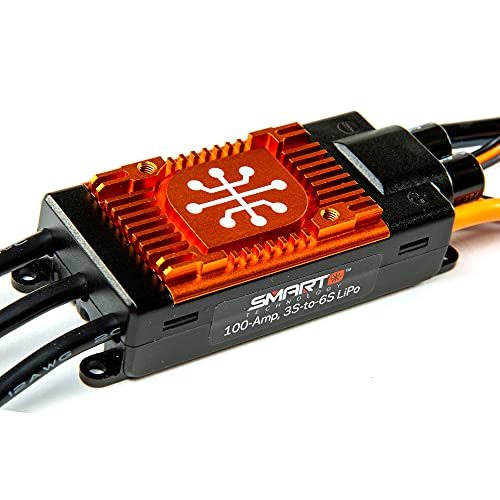 Avian 100 Amp Brushless Smart ESC, 3-6S Version A von Spektrum