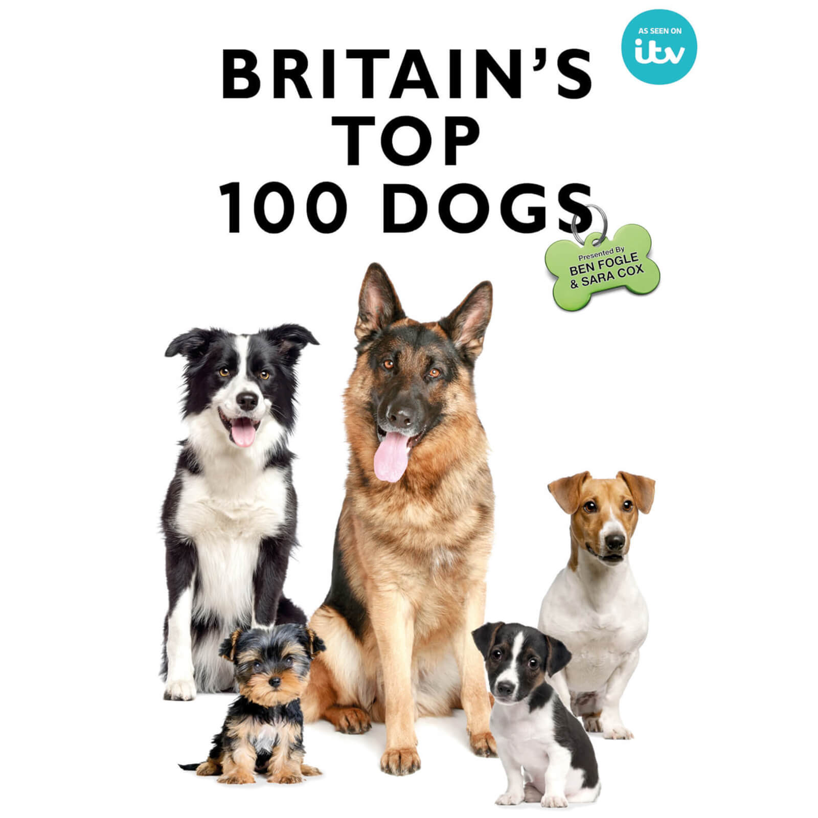 Großbritanniens Top-100-Hunde von Spirit Entertainment
