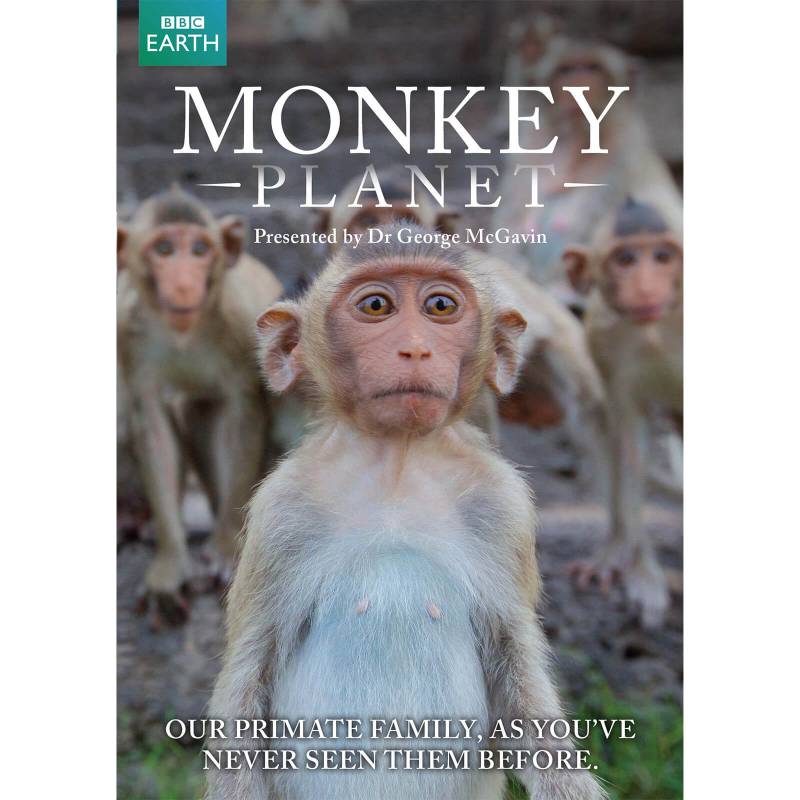 Monkey Planet von Spirit Entertainment