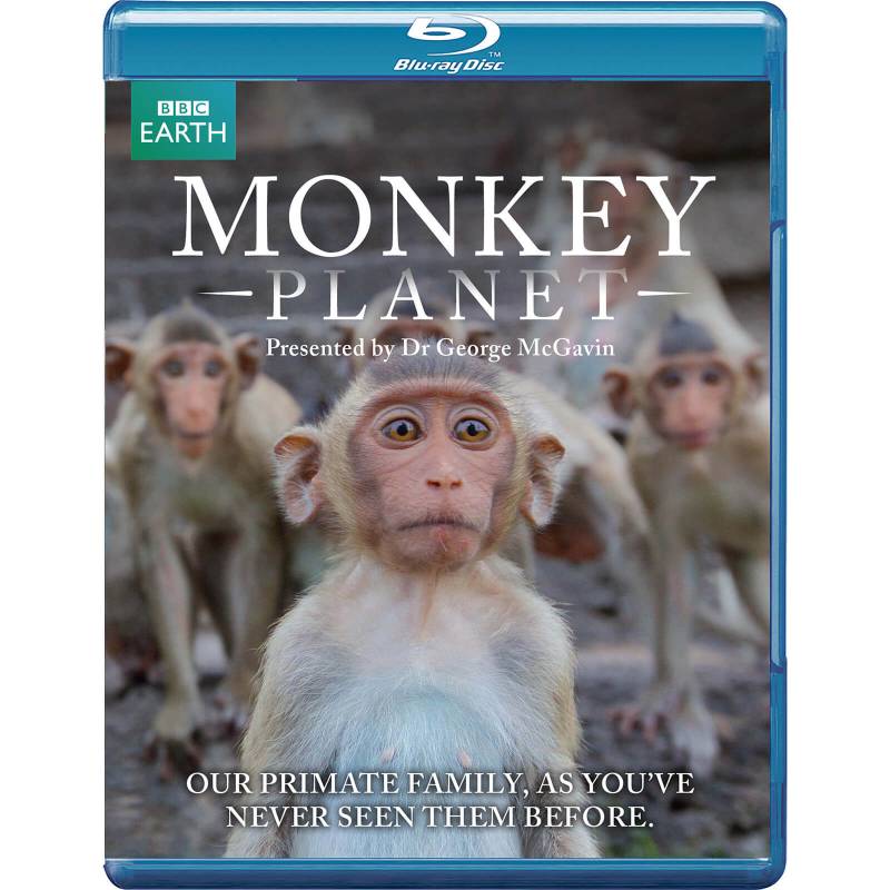 Planet der Affen von Spirit Entertainment