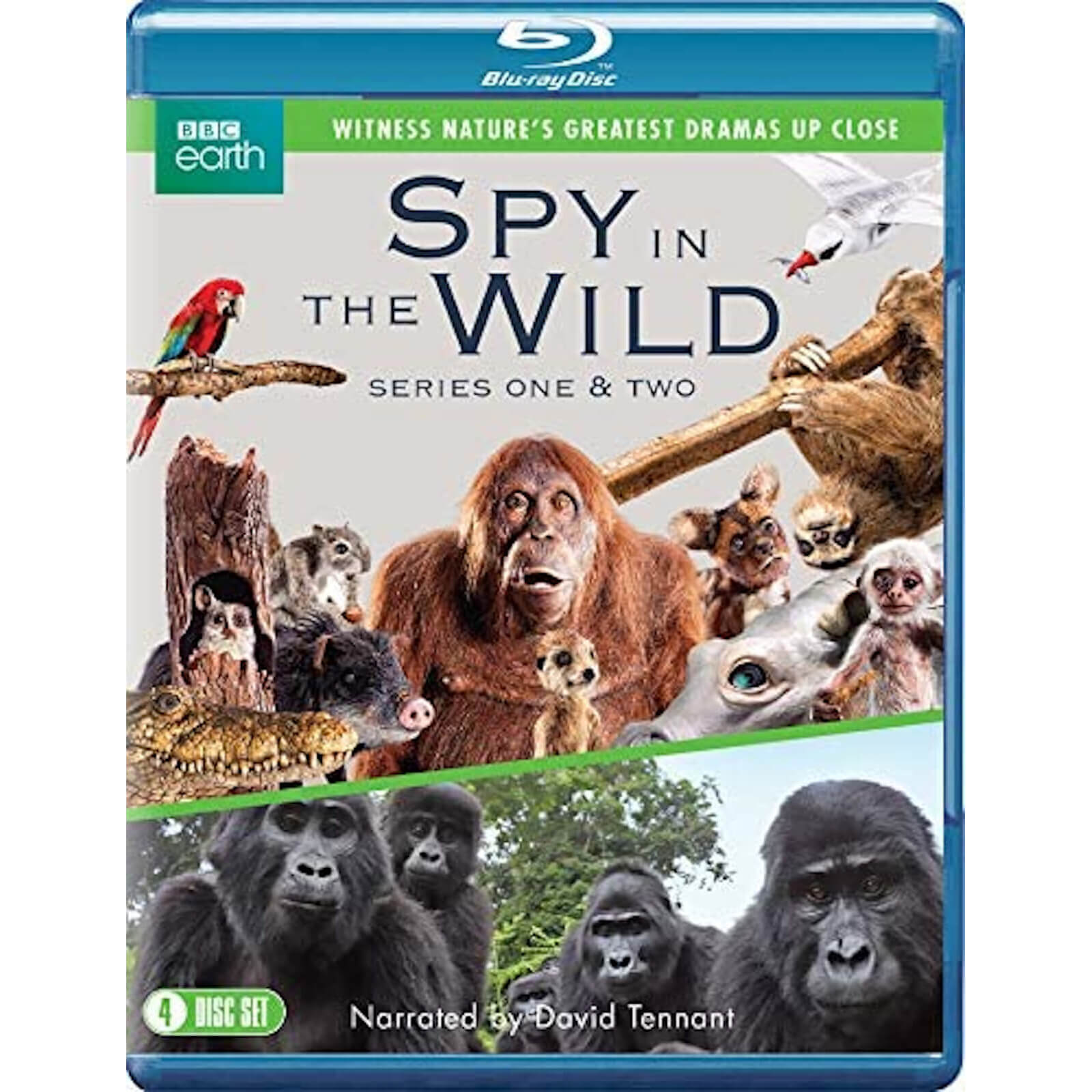 Spion in der Wildnis: Serie 1-2 von Spirit Entertainment