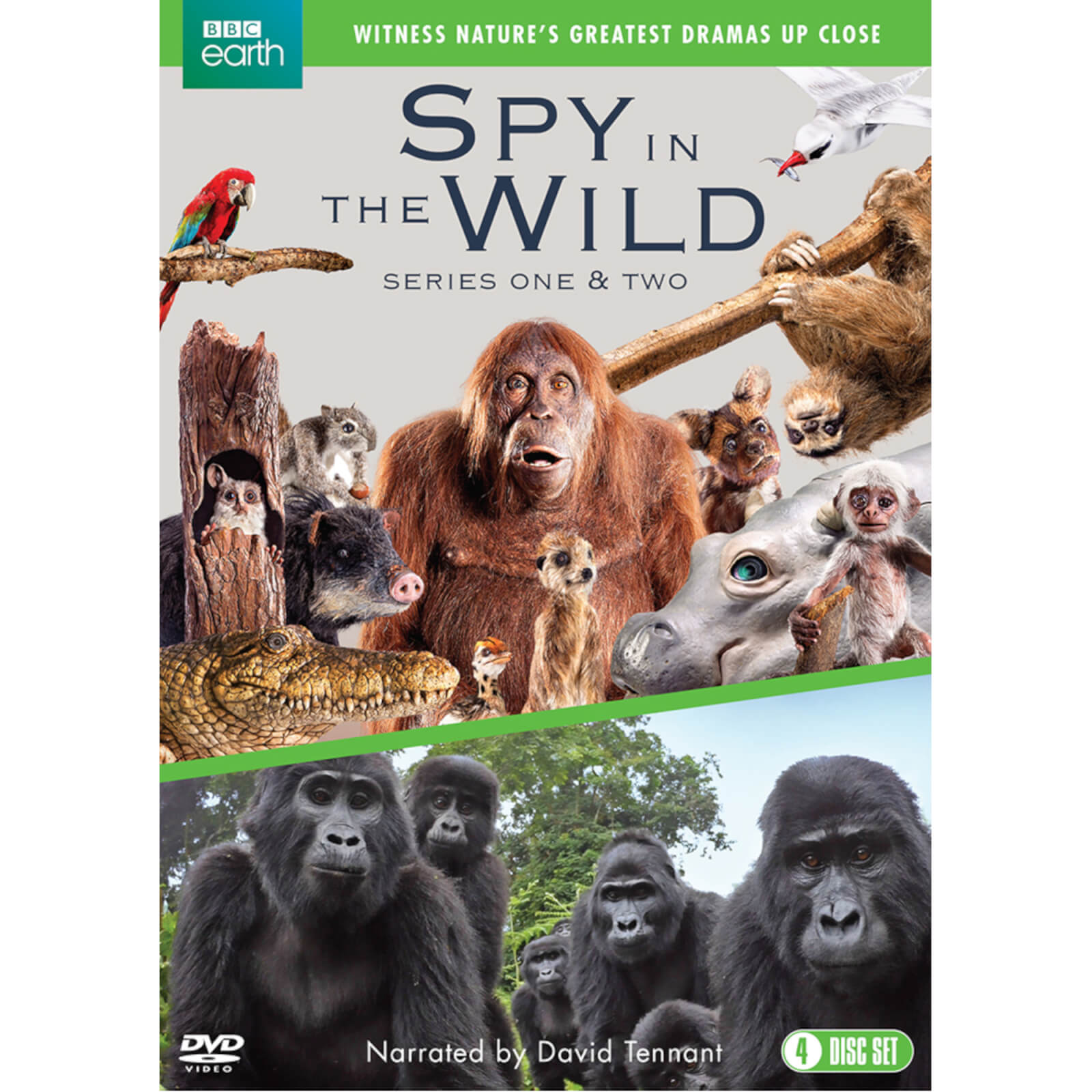 Spy in the Wild: Series 1-2 von Spirit Entertainment