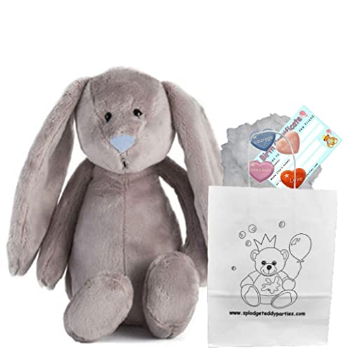 Grey Bunny with Blue Nose - Soft Plush Toy - 10 inch / 25cm - Build your own Teddy Bear - Party Kit von Splodge Teddy Parties