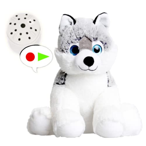 Husky Dog – 25 cm – Teddybär-Geschenk – Aufnahme einer 60-Sekunden-Nachricht und sendung in einem Bären, Baby-Herzschlag-Bär von Splodge Teddy Parties