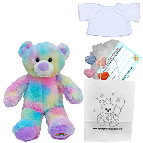 25 cm großer Regenbogen-Teddybär - Set zum Basteln eines Teddybären mit weißem T-Shirt - Teddybären zum Selbermachen - kein Nähen von Splodge Teddy Parties