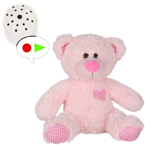 Pinker klassischer Teddybär mit 60 Sekunden Sprachaufzeichnung, 25 cm Pinker klassischer Teddybär mit 60 Sekunden Sprachaufzeichnung, 25 cm von Splodge Teddy Parties