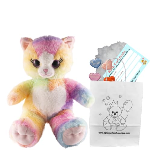 Regenbogenkatze – weiches Plüschtier – 20 cm – Bauen Sie Ihren eigenen Teddybär – Party-Set Regenbogenkatze – weiches Plüschtier – 20 cm – Bauen Sie Ihren eigenen Teddybär – Party-Set von Splodge Teddy Parties