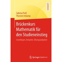 Brückenkurs Mathematik für den Studieneinstieg von Springer Berlin