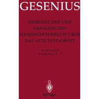 Hebräisches und Aramäisches Handwörterbuch über das Alte Testament von Springer Berlin