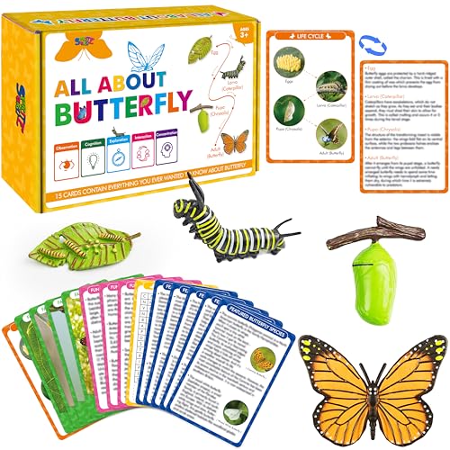 15 Schmetterling-Lebenszyklus Lernkarten mit 4 Kunststofffiguren, Schmetterlings-Einführungskarten, Plastik-Insekten, Ei bis Schmetterling Set Spielzeug für Kinder, Erwachsene 15 Schmetterling-Lebenszyklus Lernkarten mit 4 Kunststofffiguren, Schmetterlings-Einführungskarten, Plastik-Insekten, Ei bis Schmetterling Set Spielzeug für Kinder, Erwachsene von SpriteGru