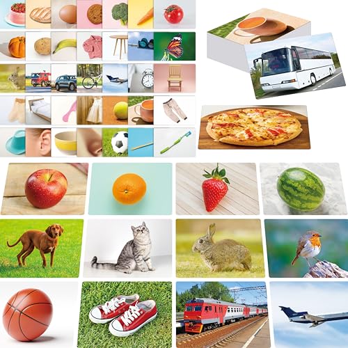 50 Nomen-Lernkarten, Bild- und Wortfotokarten, Sprachaufbauer, visuelle Hilfe, Sprachlernwerkzeug für Autismus, ESL-Lehrmaterialien für Erwachsene, nonverbale Kinder, Vokabeltrainer für Kinder von SpriteGru